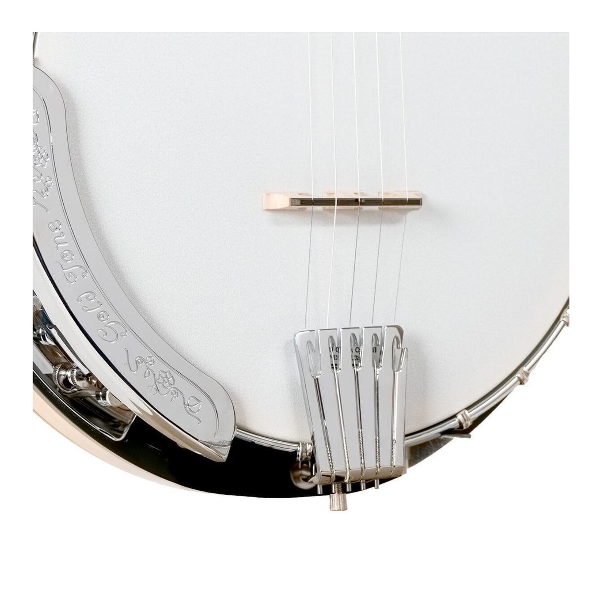 Gold Tone CC-100R: Cripple Creek Resonator Banjo with Gig Bag