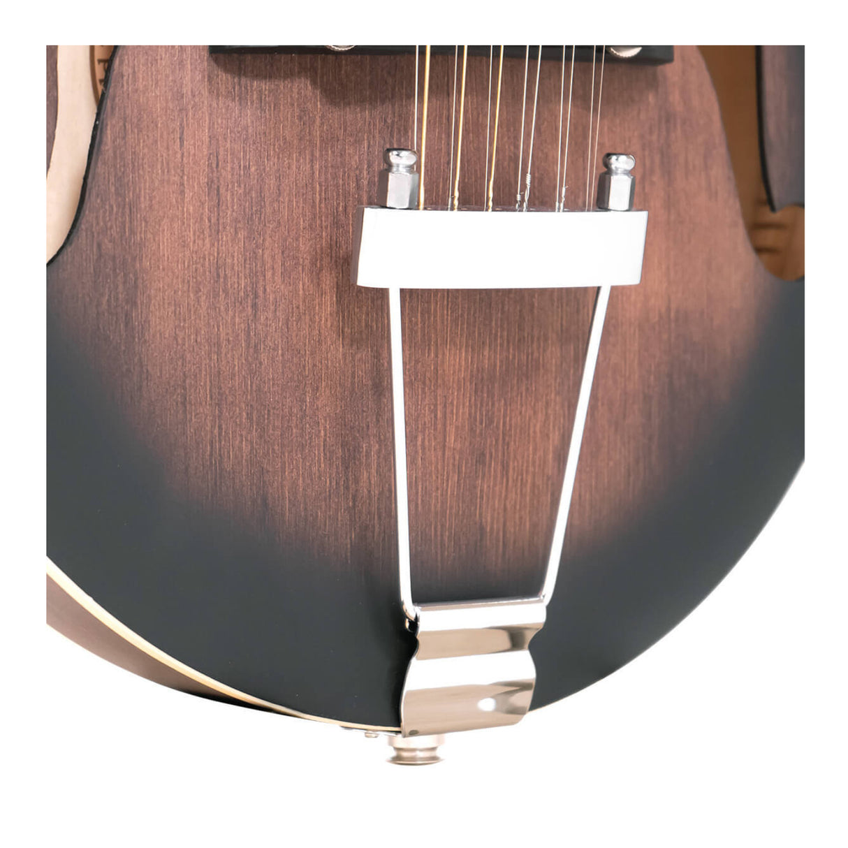 Gold Tone F-12: 12-string F-style Mando-Guitar with Pickup and Case