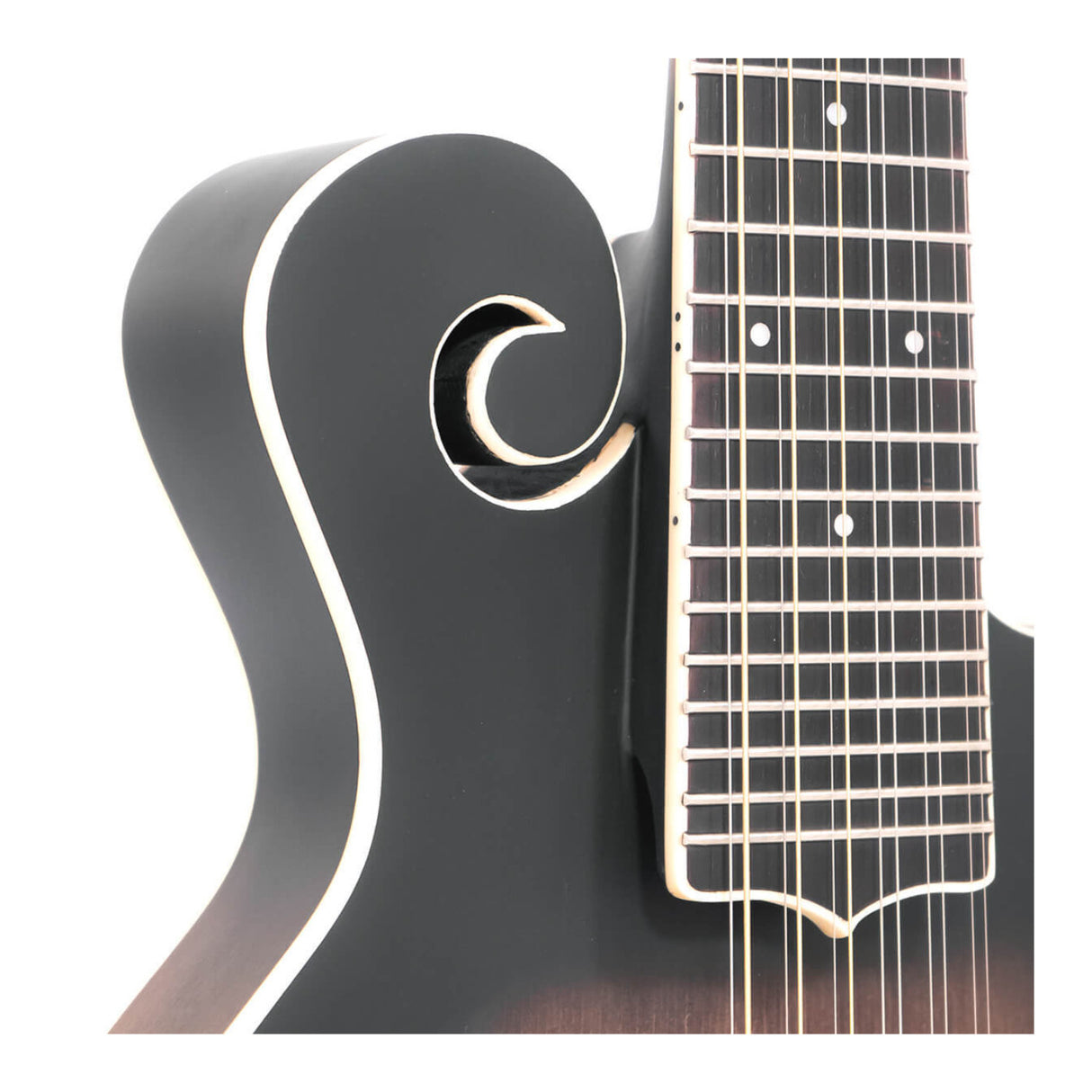 Gold Tone F-12: 12-string F-style Mando-Guitar with Pickup and Case