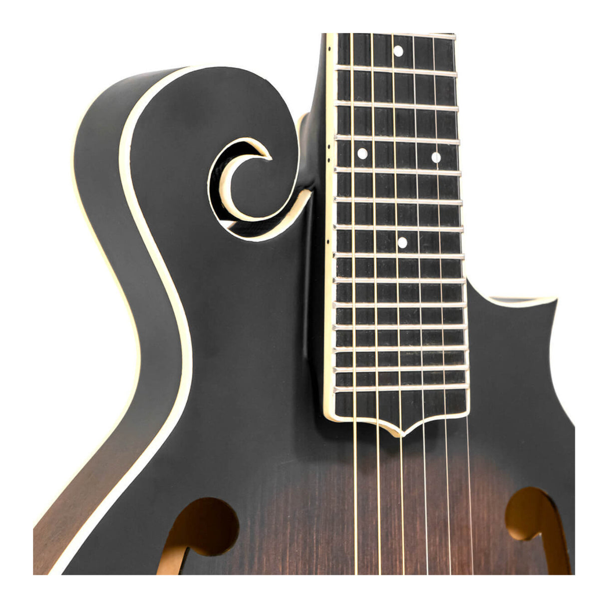 Gold Tone F-6: 6-string F-style Mando-Guitar with Pickup and Case