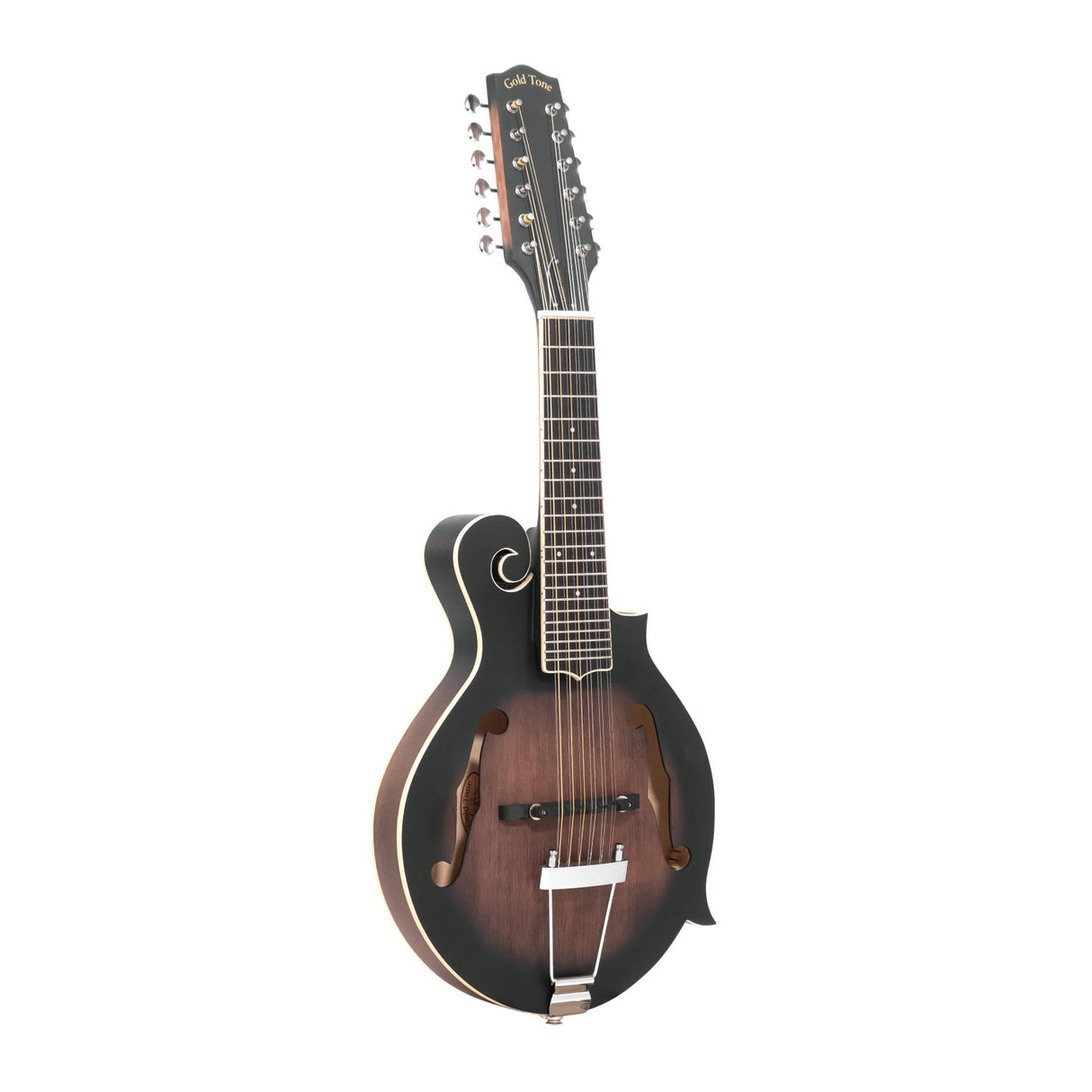 Gold Tone F-12: 12-string F-style Mando-Guitar with Pickup and Case