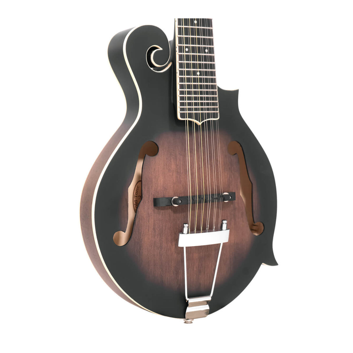Gold Tone F-12: 12-string F-style Mando-Guitar with Pickup and Case