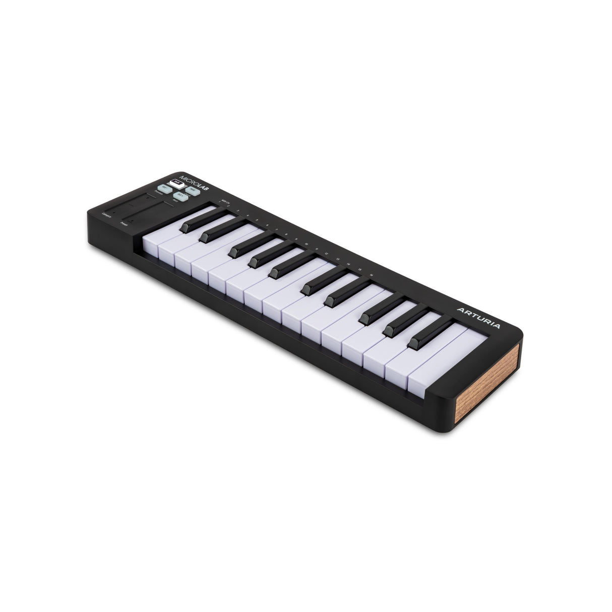 Arturia MicroLab mk3 25-Key Portable MIDI Controller Keyboard (Black)