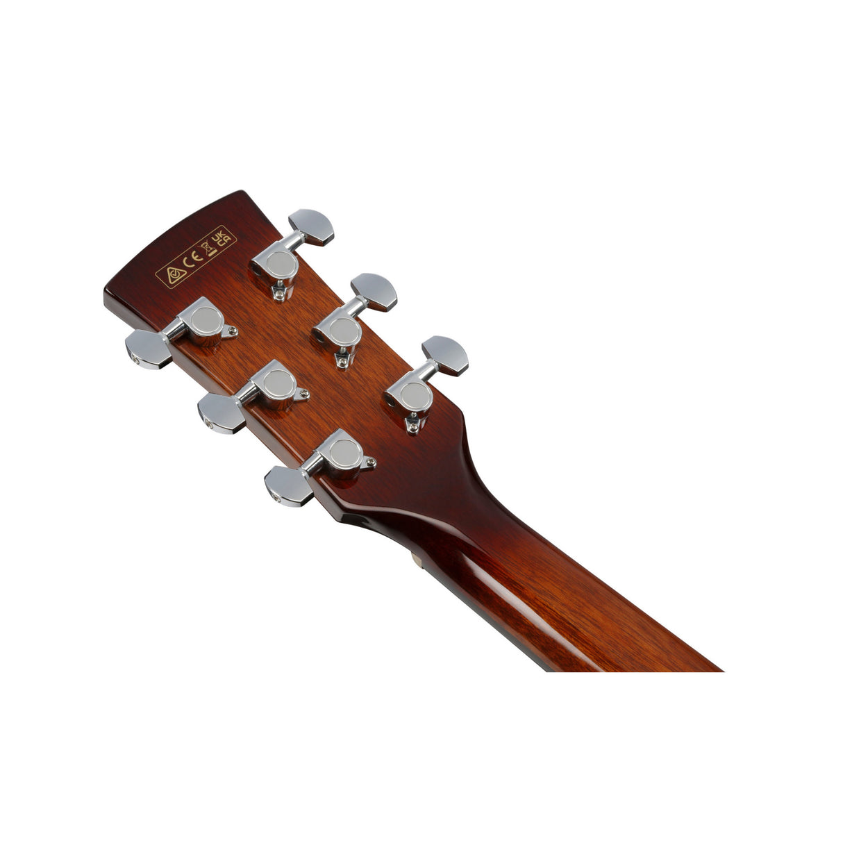 Ibanez PN50TKE Natural High Gloss Top Acoustic Electric Guitar