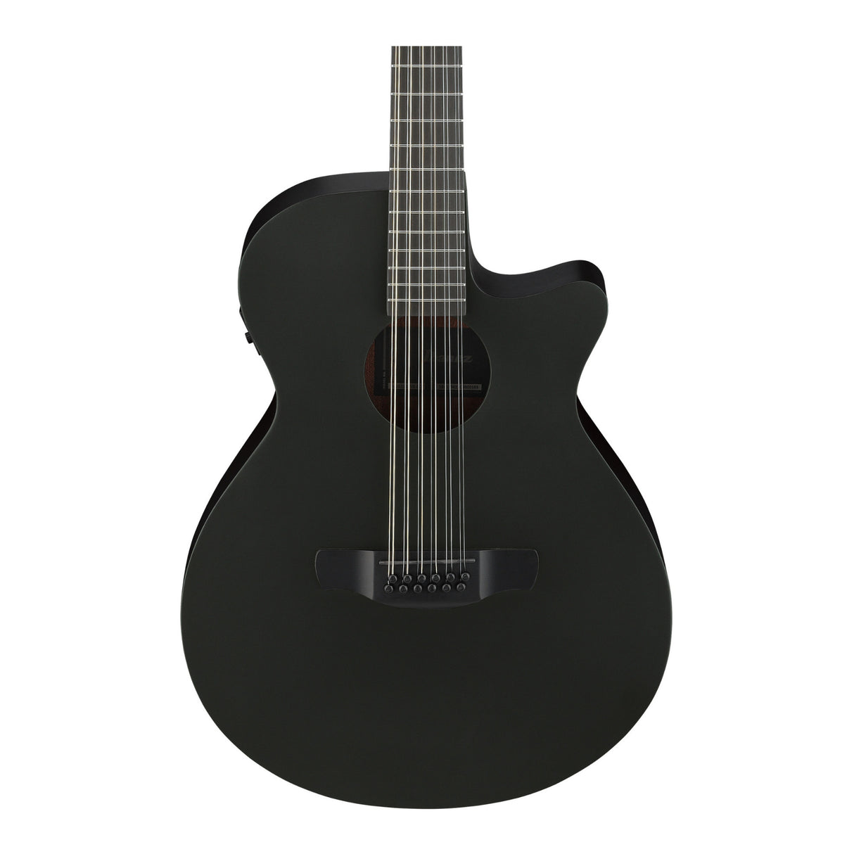 Ibanez AEG1221 Black Out Acoustic Electric Guitar with Spruce Top
