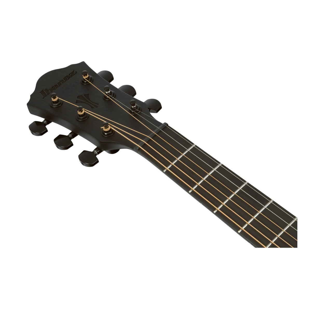 Ibanez AEG621 Black Out Acoustic Electric Guitar with Spruce Top
