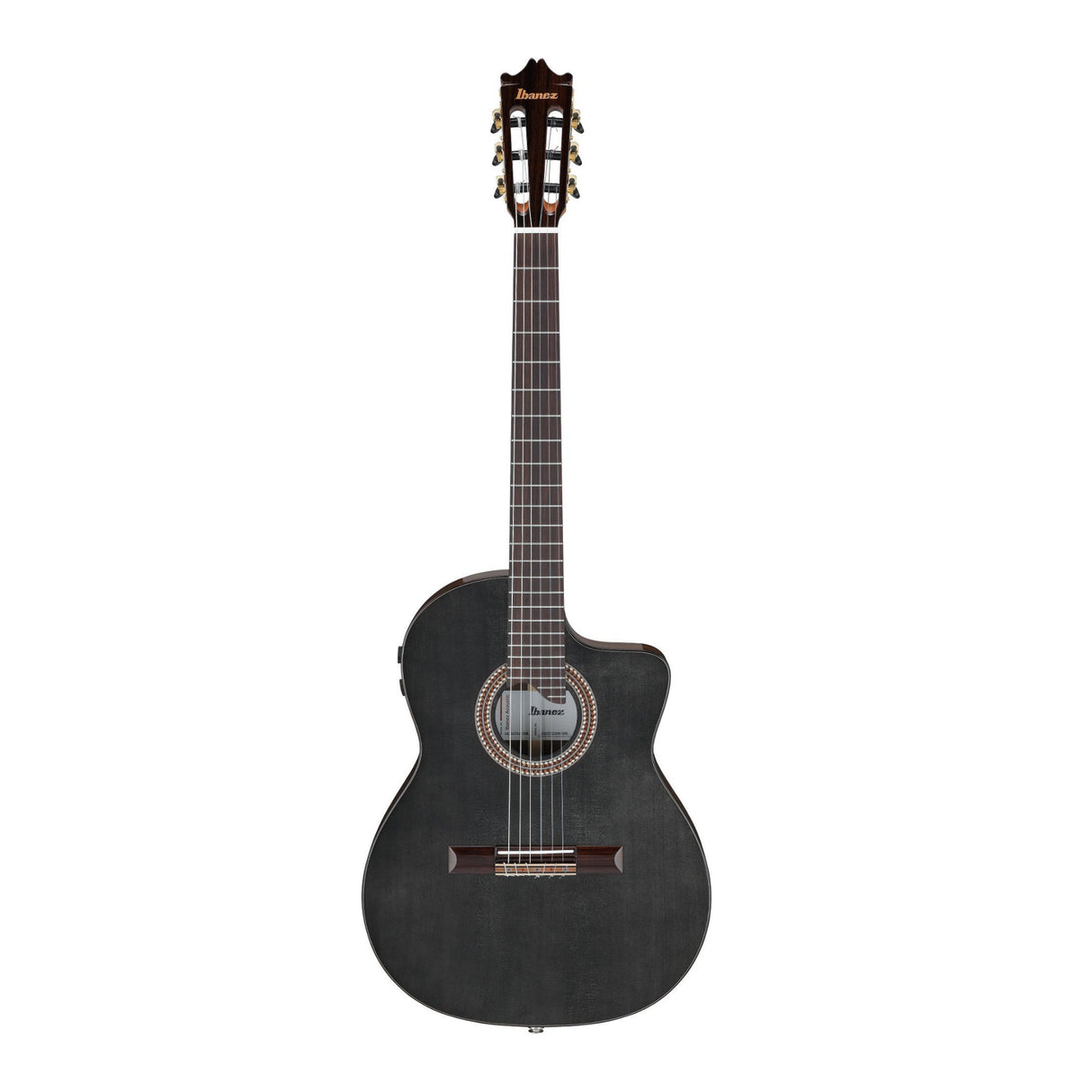 Ibanez GA3007CE Acoustic Electric Guitar with Hard Case (Natural High Gloss)