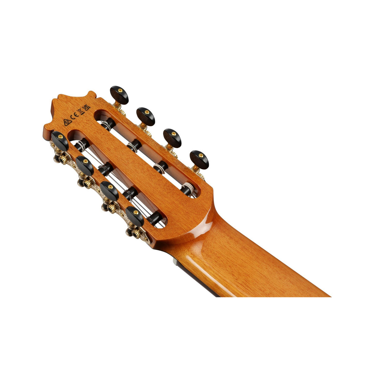 Ibanez GA3008CE Acoustic Electric Guitar with Hard Case (Natural High Gloss)