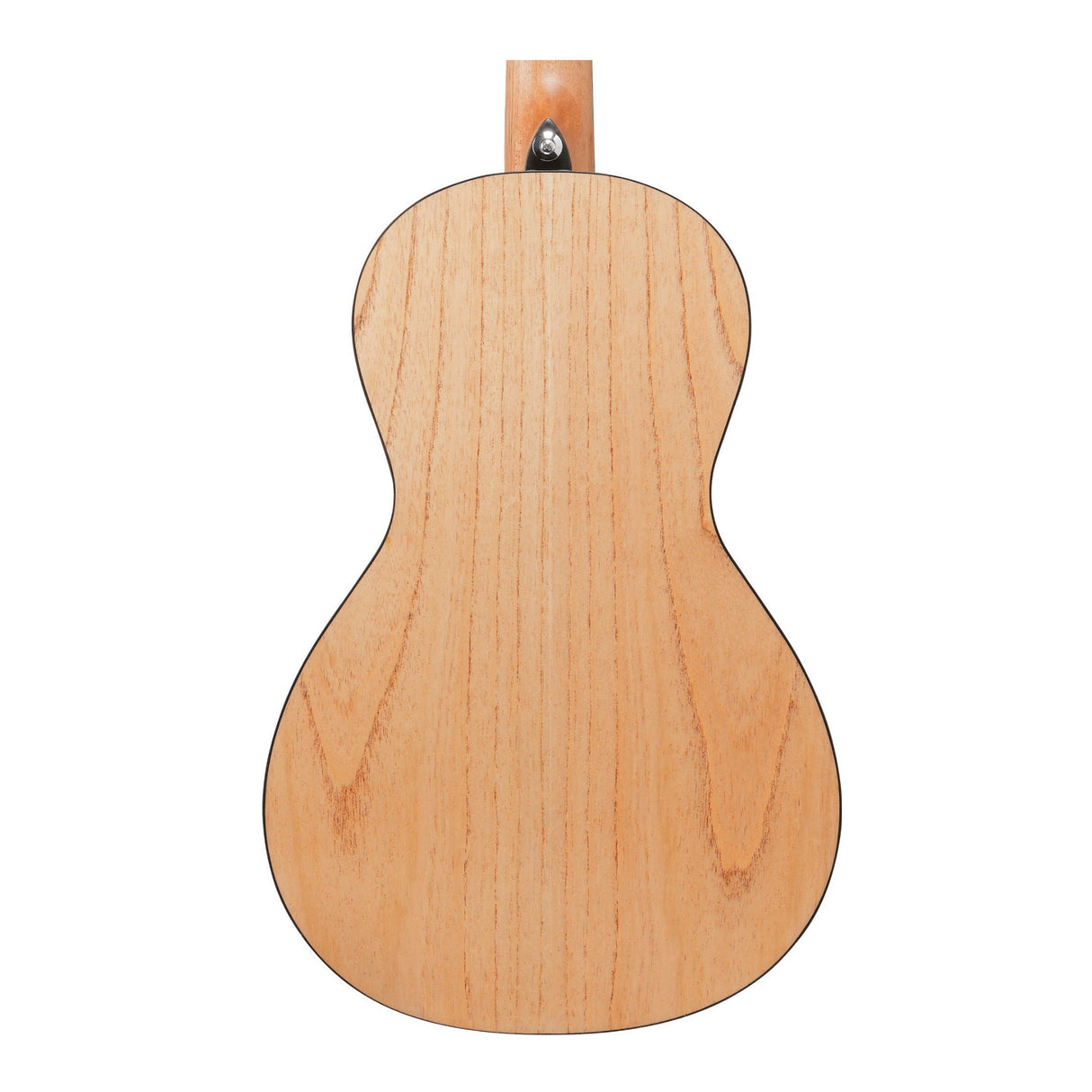 Ibanez PN2MD 6-String Right-Hand Acoustic Guitar (Open Pore Natural)