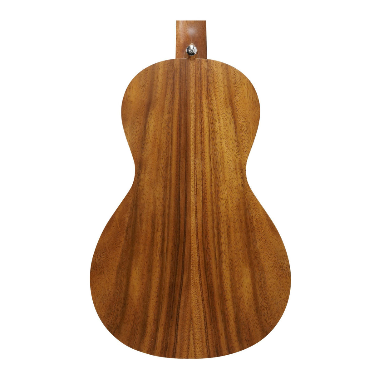 Ibanez PN2WS 6-String Right-Hand Acoustic Guitar (Open Pore Brown)