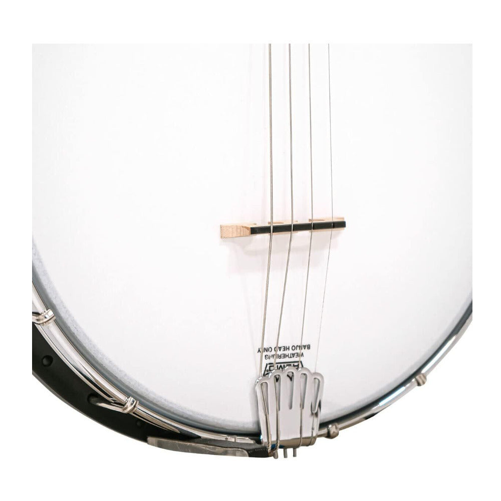 Gold Tone AC-4IT Acoustic Composite 4-String Irish Tenor Banjo with Gig Bag