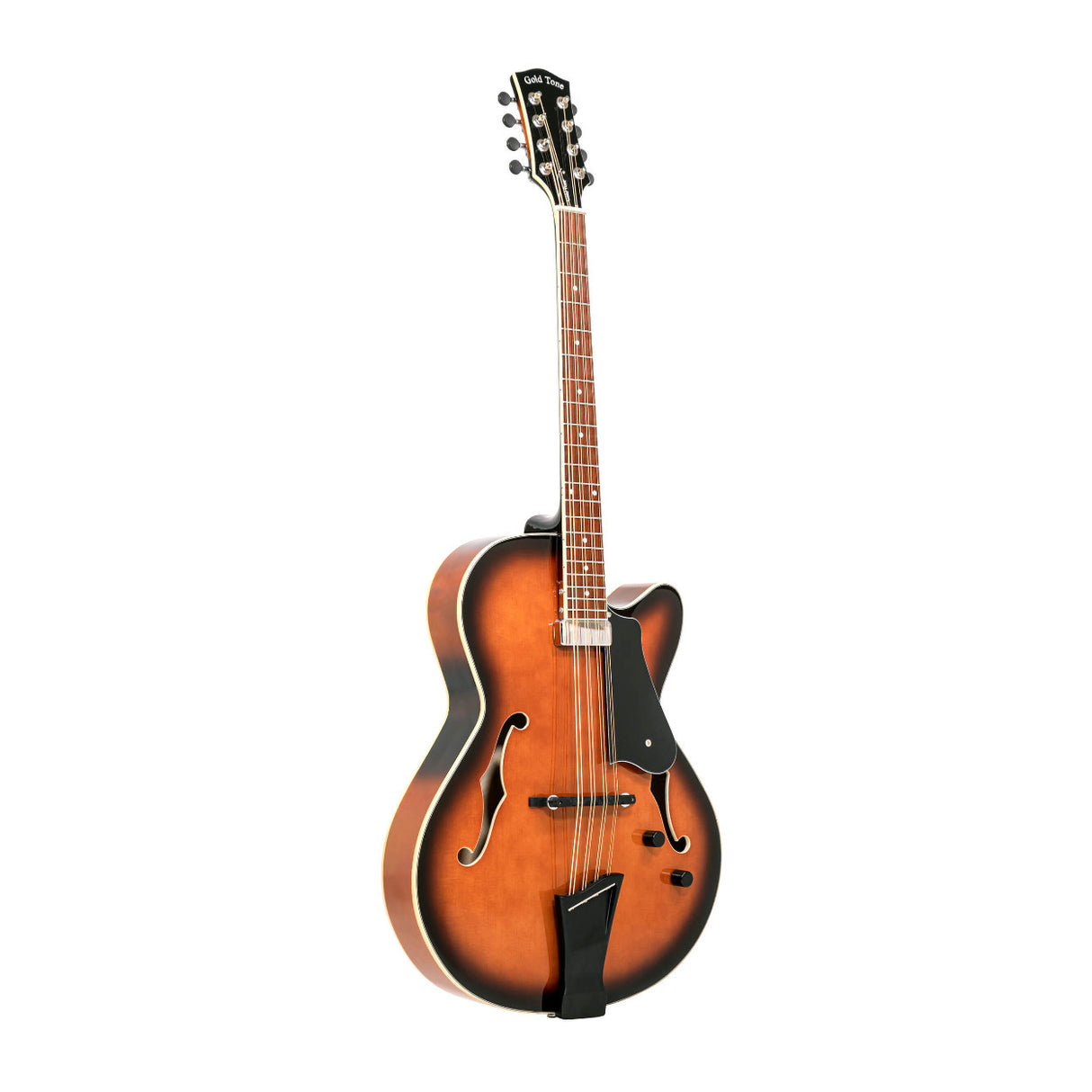 Gold Tone Mandocello with Solid Spruce Top and Dual Pickup System Case Included