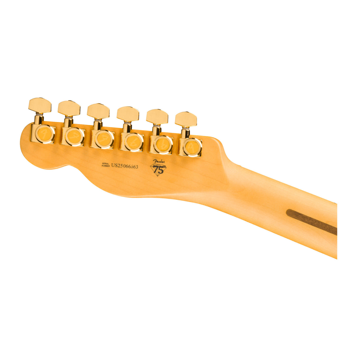 Fender 75th Anniversary American Professional II Custom Telecaster (Sunburst)