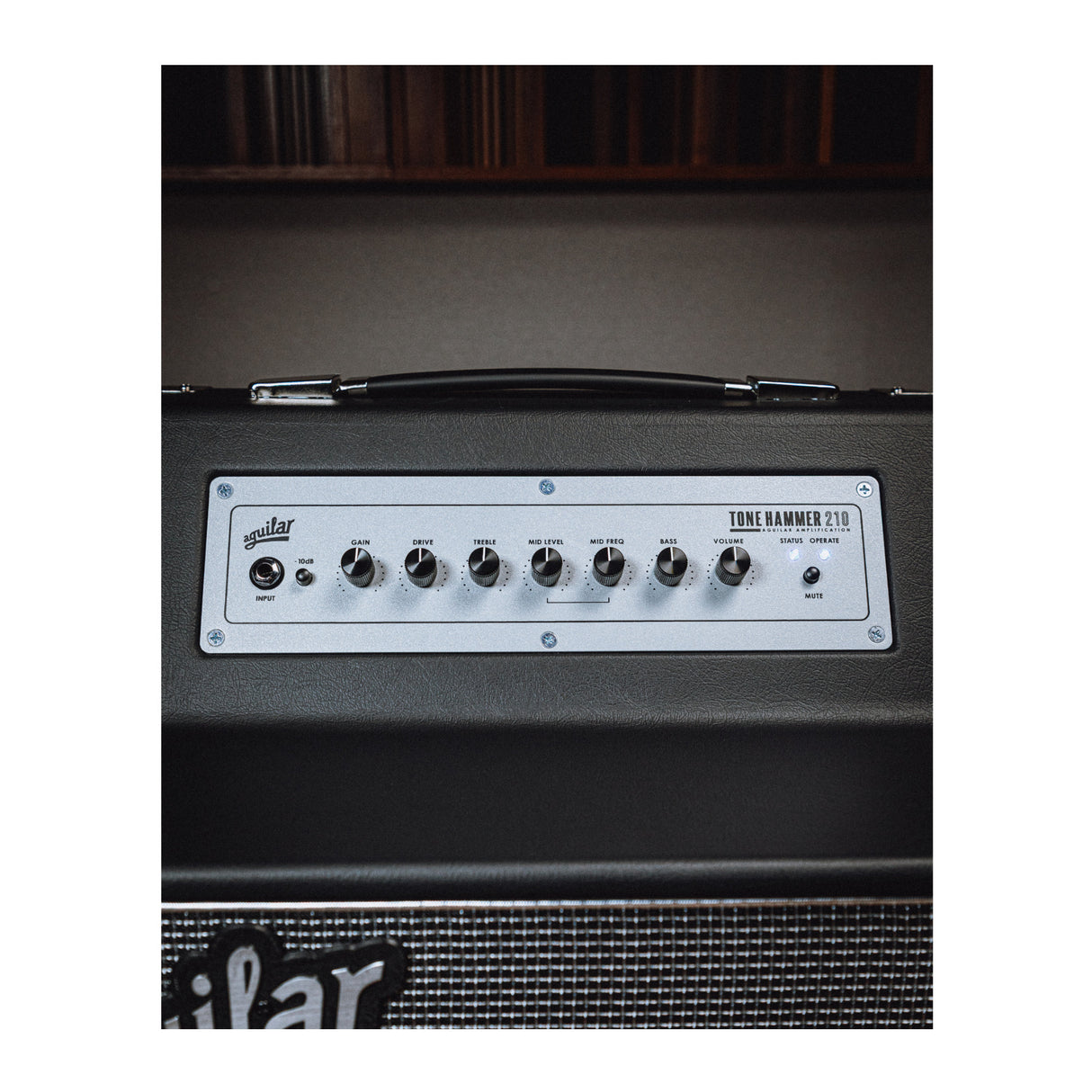 Aguilar ToneHammer 2x10 Combo Guitar Amplifier