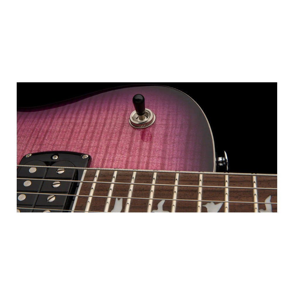 PRS SE Zach Myers Semi-Hollow Electric Guitar (Elderberry Burst)