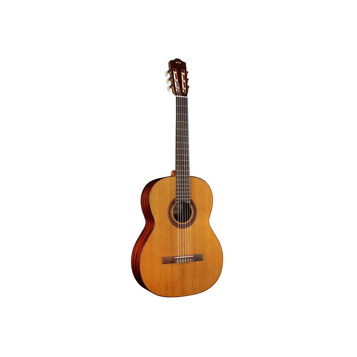 Cordoba C5 6-String Classical Acoustic Guitar (Natural)