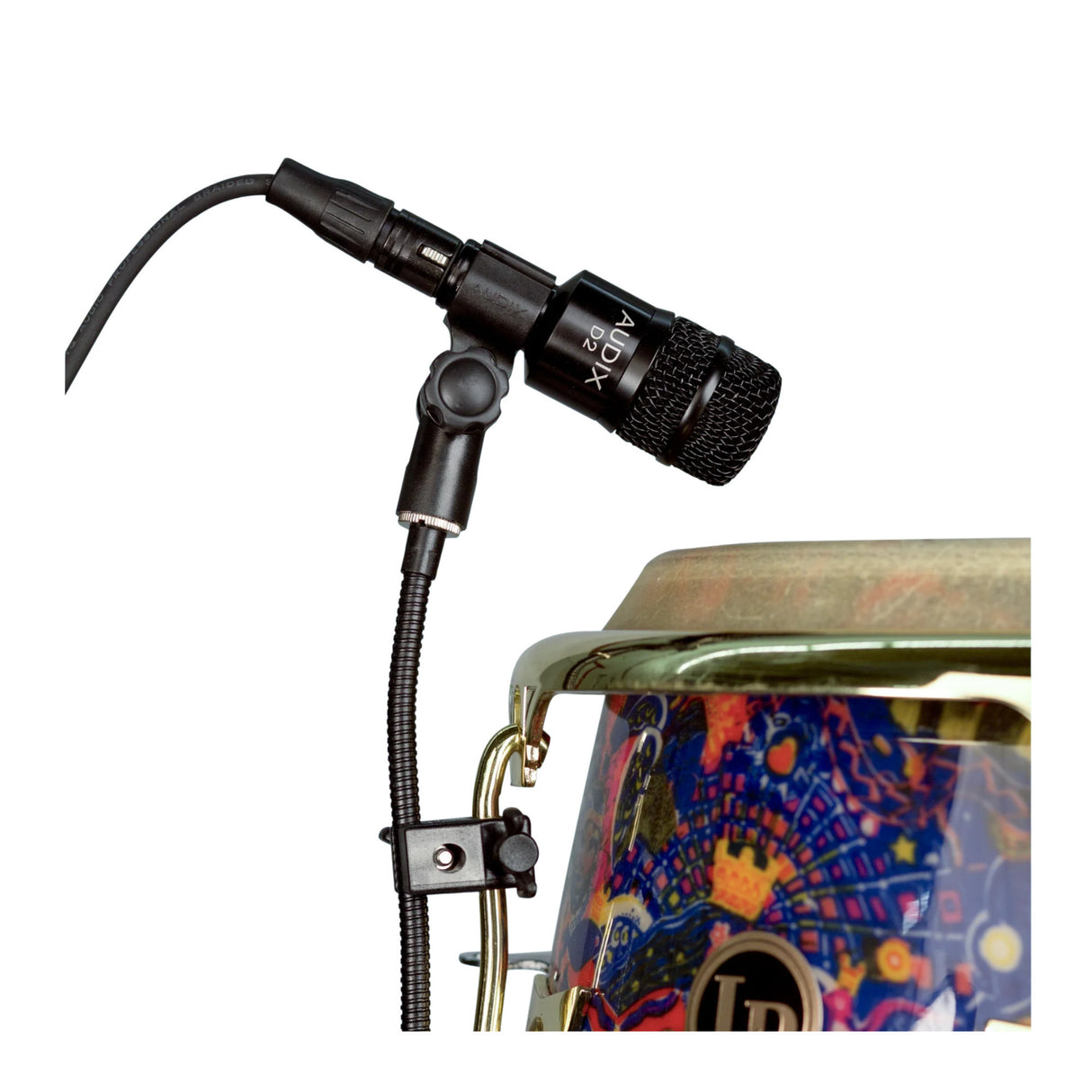 Audix D2 Professional Dynamic Instrument Mic