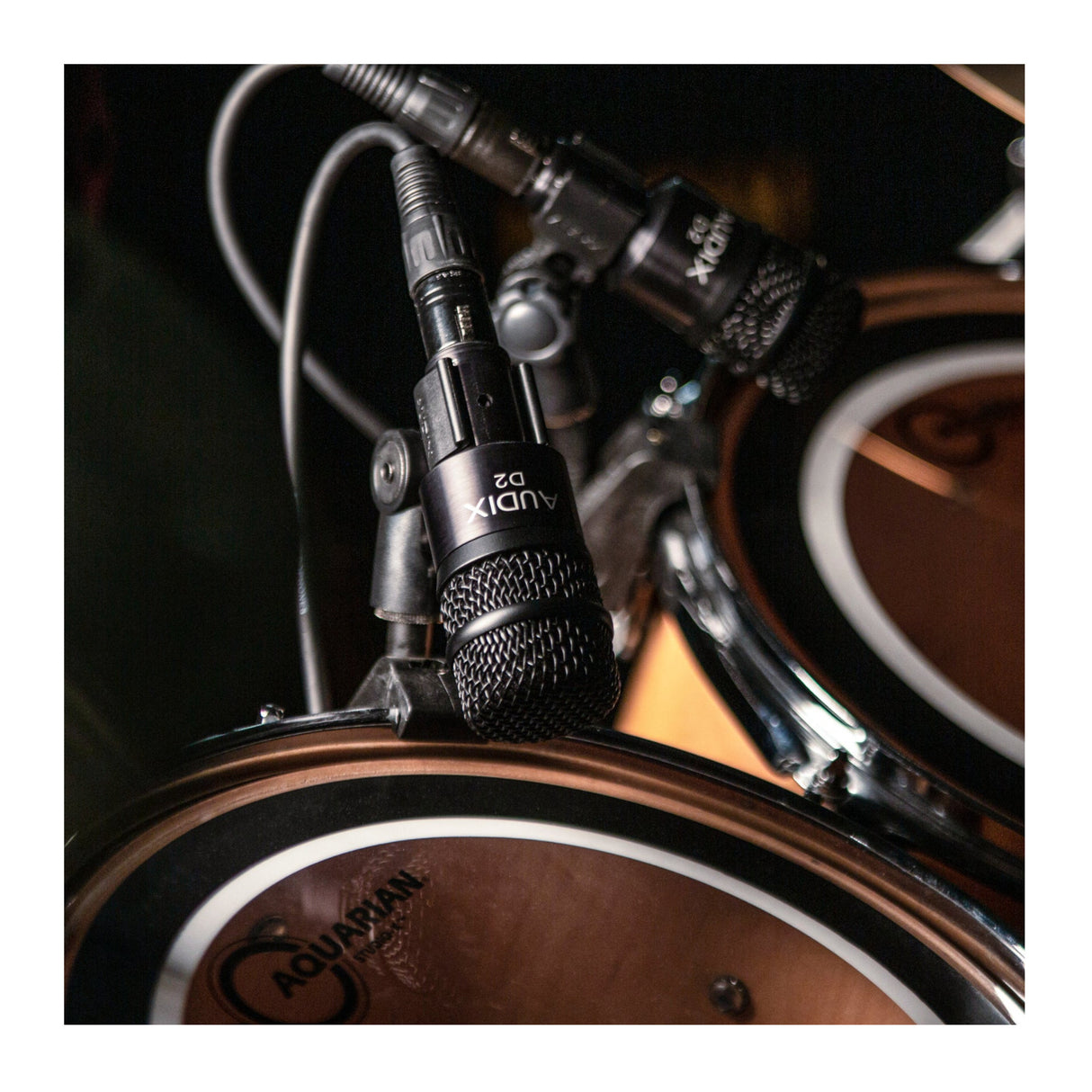 Audix D2 Professional Dynamic Instrument Mic