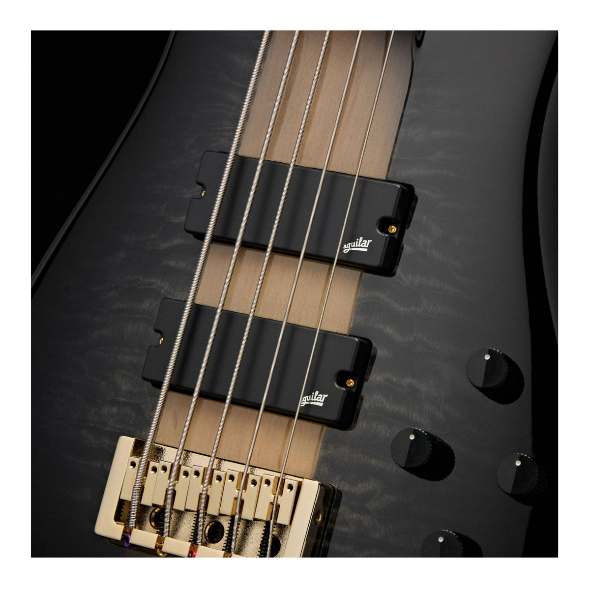 Spector ICON NS-5 Neck Through 5-String Electric Bass Guitar (Black and Blue)