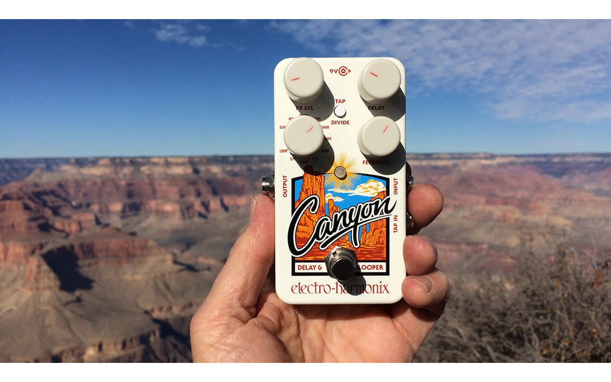 Electro-Harmonix Canyon Delay and Looper Pedal