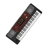 Korg Pa700 61-Key Professional Arranger Keyboard (Black)