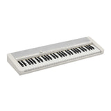 Casio Casiotone CT-S1 61 Key Portable Piano Bundle with Stand and Accessories