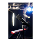 Sennheiser Pro Audio Vocal Dynamic Microphone (MD 445)