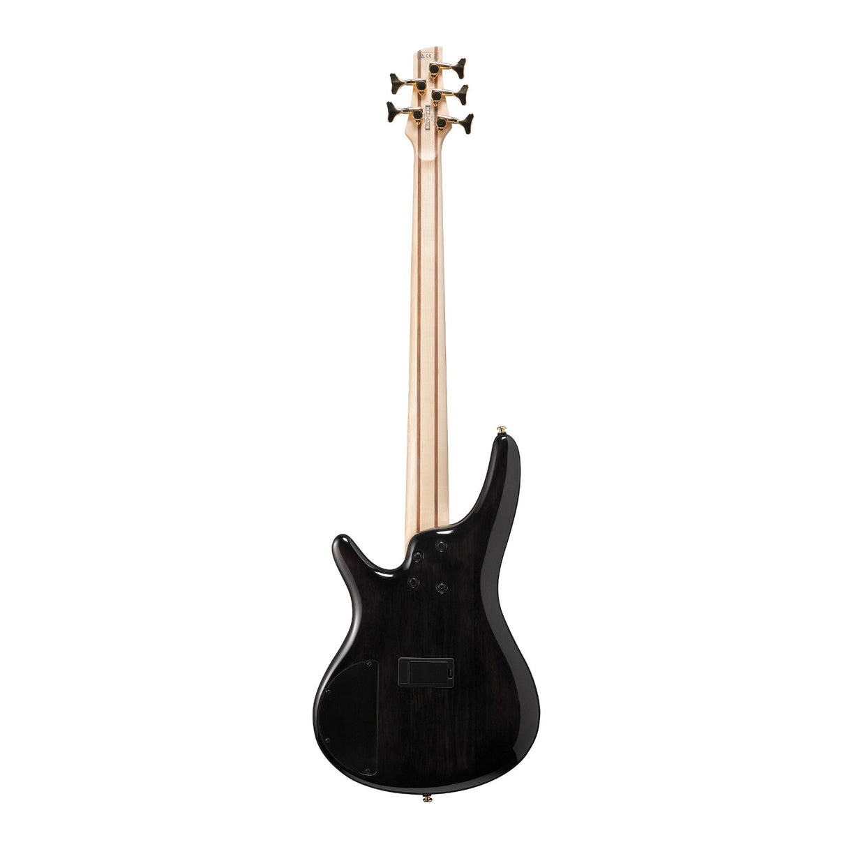 Ibanez SR405EPBDXTSU SR 5-String Electric Bass Guitar - Tropical Seafloor Burst