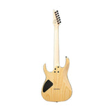 Ibanez RG421AH Standard 6-String Electric Guitar (Blue Moon Burst, Right-Handed)