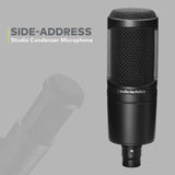 Audio-Technica AT2020 Microphone with Filter, Boom Arm, Cable and Shock Mount