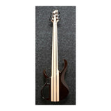 Ibanez BTB Standard 6-String Electric Bass (Right-Handed, Natural Low Gloss)