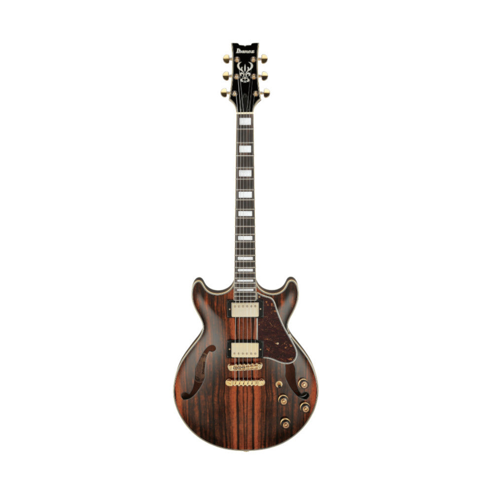 Ibanez AM Artcore Expressionist 6 String Electric Guitar Natural