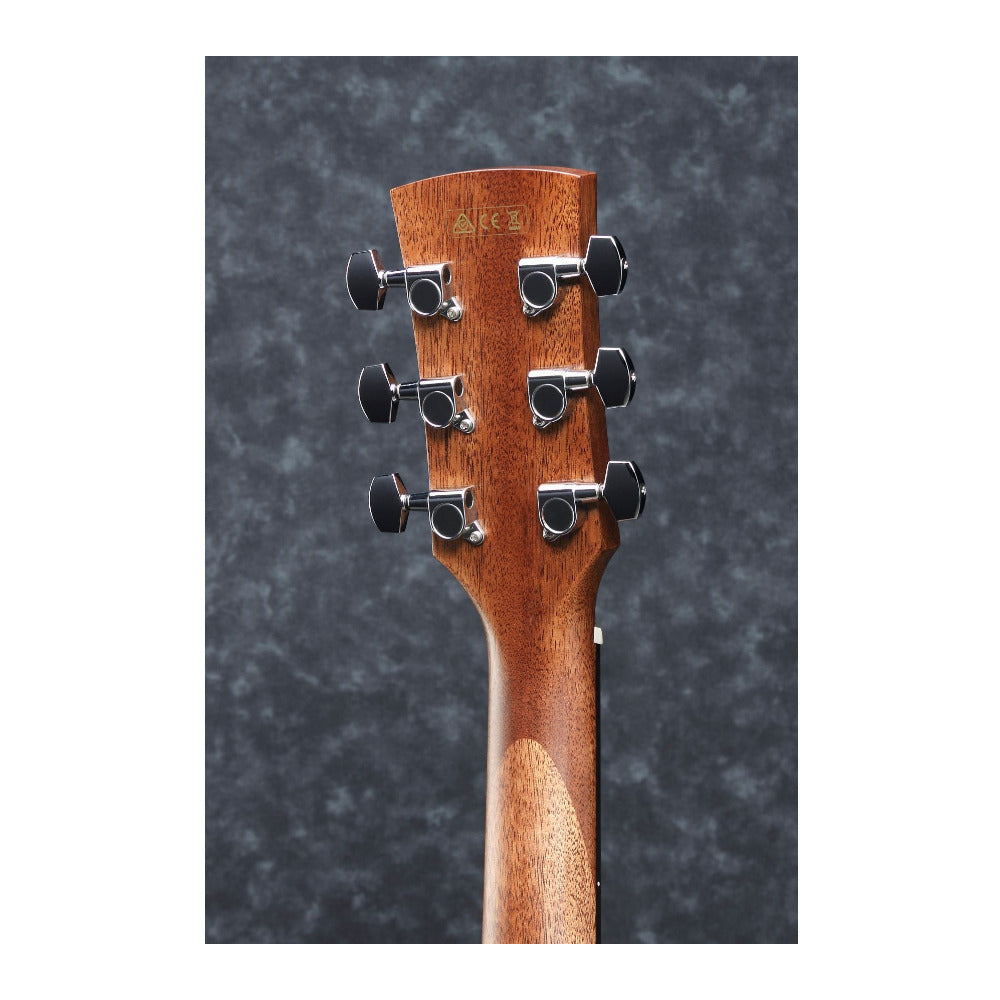 Ibanez Artwood Dreadnought Acoustic Electric Guitar (Open Pore Natural Finish)