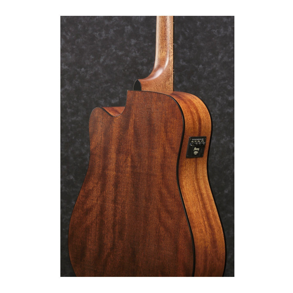 Ibanez Artwood Dreadnought Acoustic Electric Guitar (Open Pore Natural Finish)