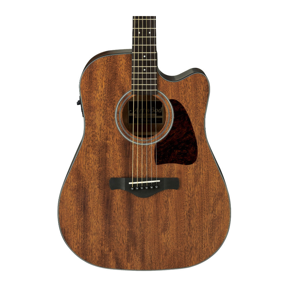 Ibanez Artwood Dreadnought Acoustic Electric Guitar (Open Pore Natural Finish)