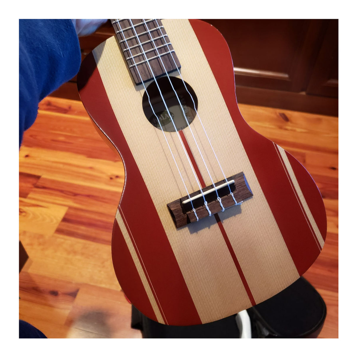 Kala Surf Series Surf's Up Concert Ukulele with Rosewood Fingerboard