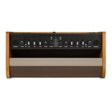 Fender Acoustic 100 Guitar Amplifier