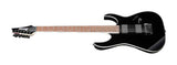 Ibanez RG Iron Label 6-String Electric Guitar (Right-Handed, Black)