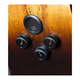 Breedlove Artista Pro Concerto CE 6-String Acoustic Guitar (Burnt Amber)