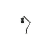 AKG P120 High-Performance General Purpose Recording Microphone Bundle