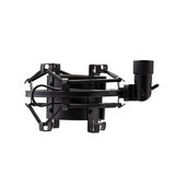 AKG P120 High-Performance General Purpose Recording Microphone Bundle