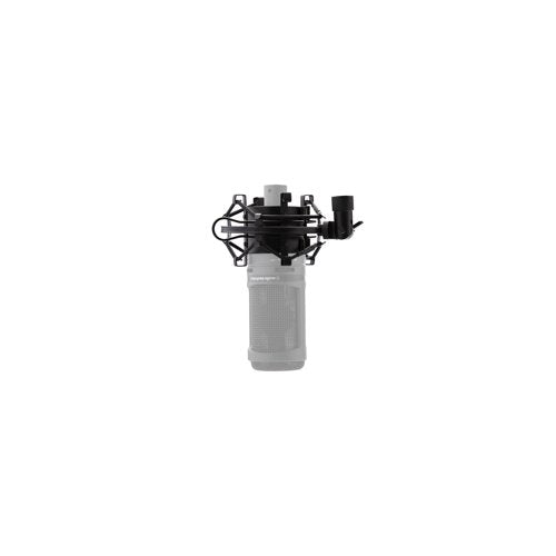 AKG P120 High-Performance General Purpose Recording Microphone Bundle