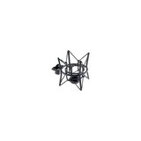 AKG P220 High-Performance Condenser Microphone Bundle with Accessory