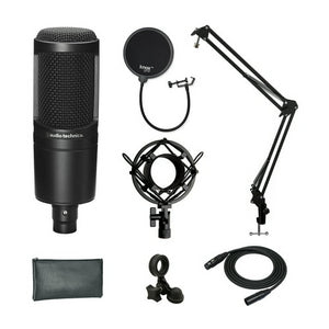 Condenser & Recording Mics