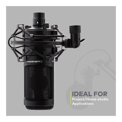 Audio-Technica AT2020 Microphone with Filter, Boom Arm, Cable and Shock Mount