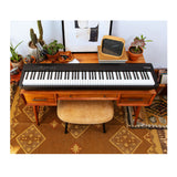 Roland FP-30X Compact Portable Dual Headphones Outputs Digital Piano (Black)