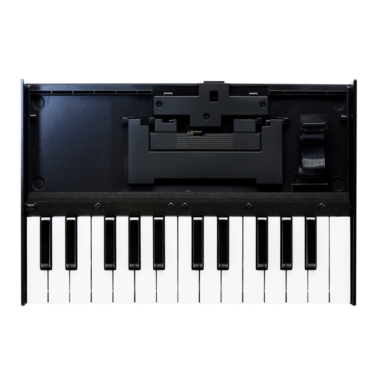 Roland K-25M 25-Key Boutique Module Dock USB MIDI Portable Keyboard, 12-Inch