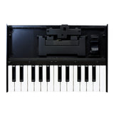 Roland K-25M 25-Key Boutique Module Dock USB MIDI Portable Keyboard, 12-Inch