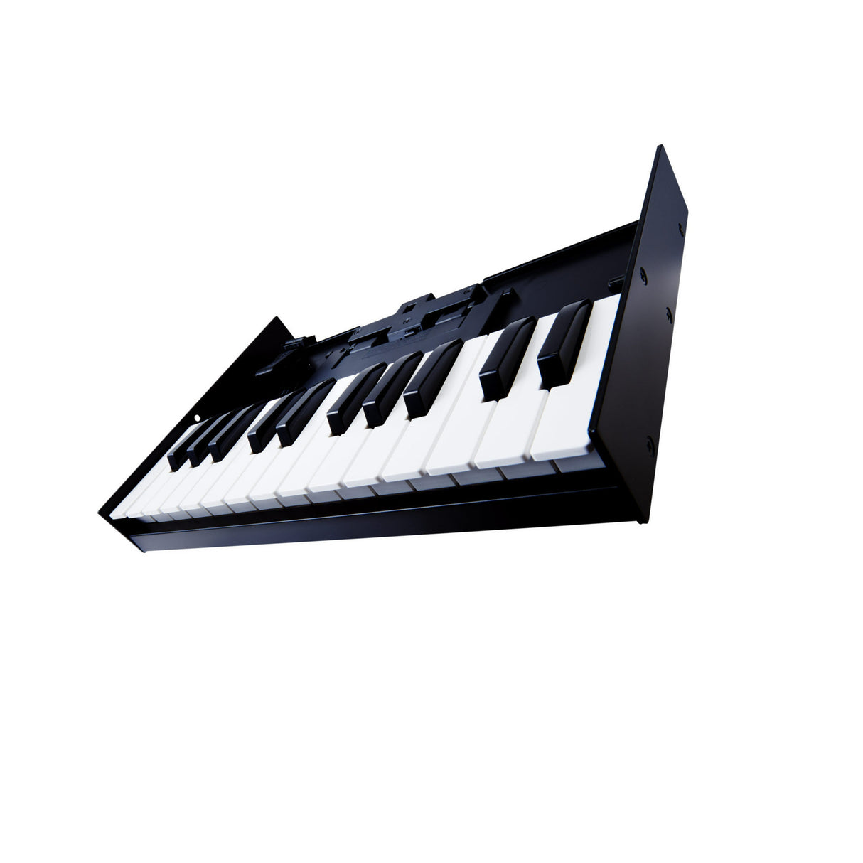 Roland K-25M 25-Key Boutique Module Dock USB MIDI Portable Keyboard, 12-Inch