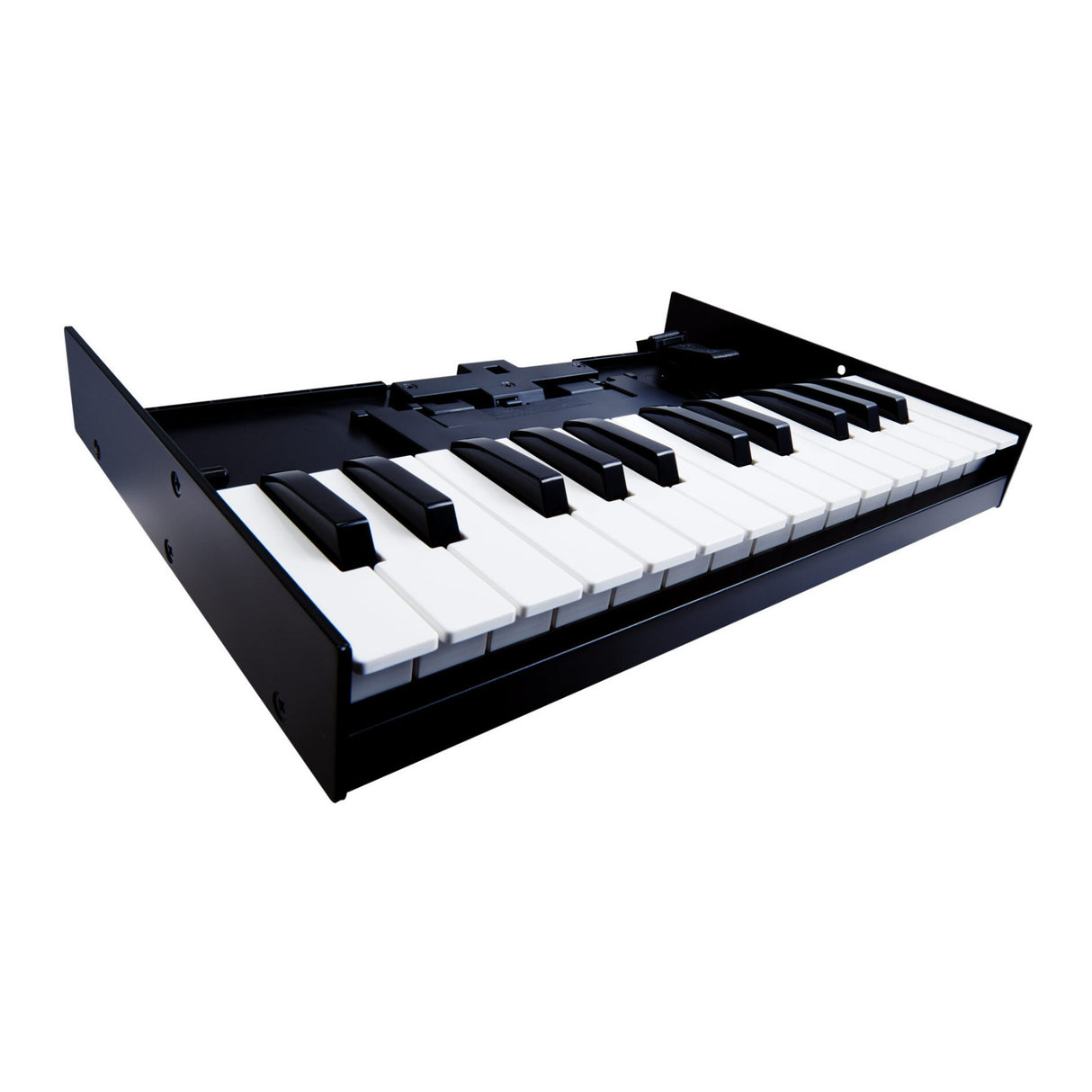 Roland K-25M 25-Key Boutique Module Dock USB MIDI Portable Keyboard, 12-Inch